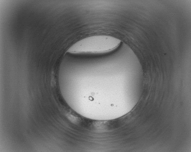 X0000075830136200609150855