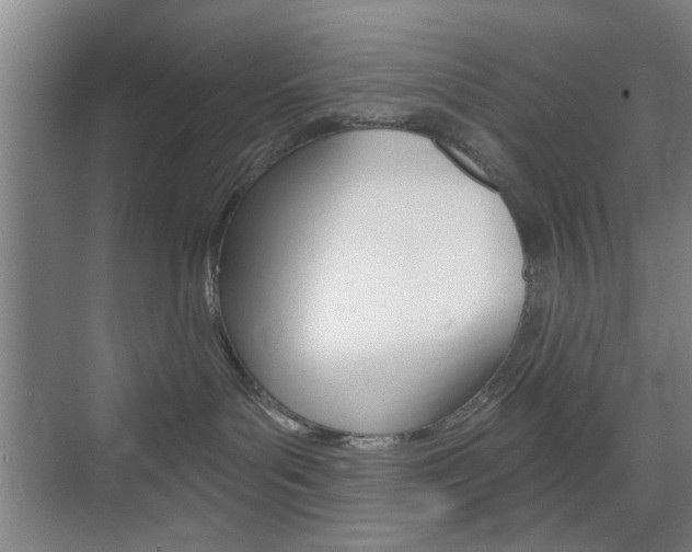 X0000075830143200609150855