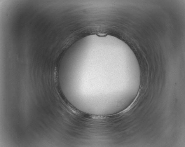 X0000075830144200609150855