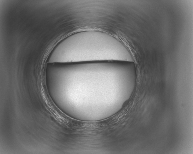 X0000075830145200609150855