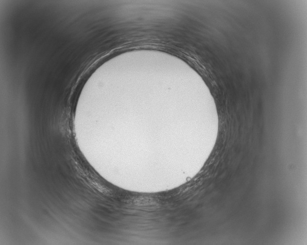 X0000075830146200609150855