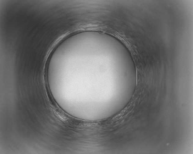 X0000075830147200609150855