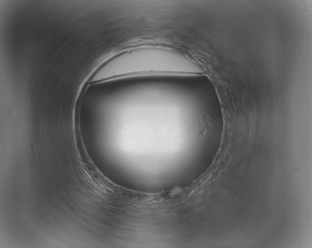 X0000075830148200609150855