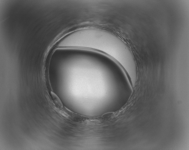 X0000075830150200609150855