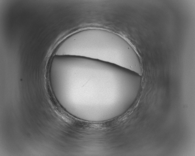 X0000075830151200609150855