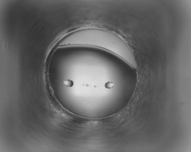 X0000075830152200609150855