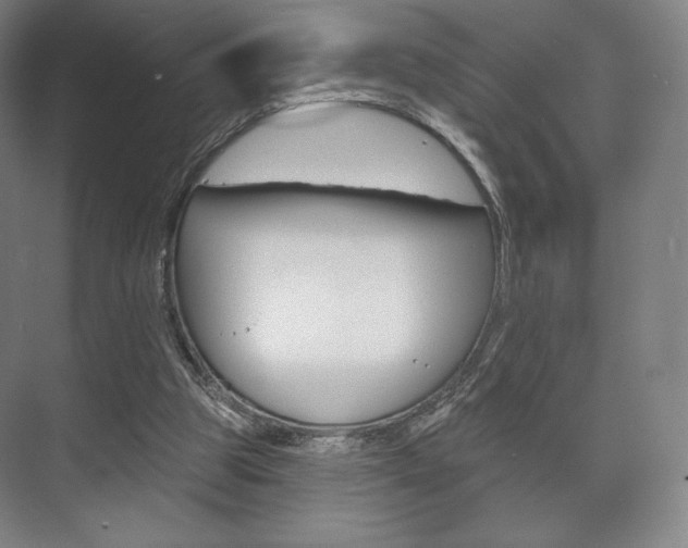 X0000075830153200609150855