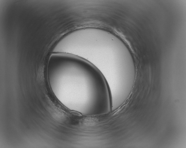 X0000075830154200609150855