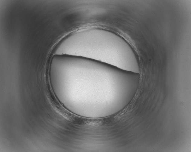 X0000075830155200609150855