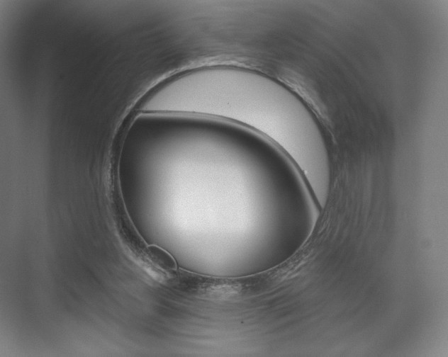 X0000075830156200609150855