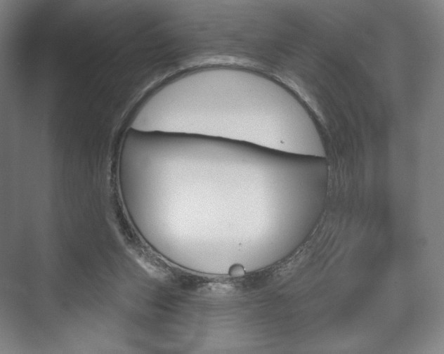 X0000075830159200609150855