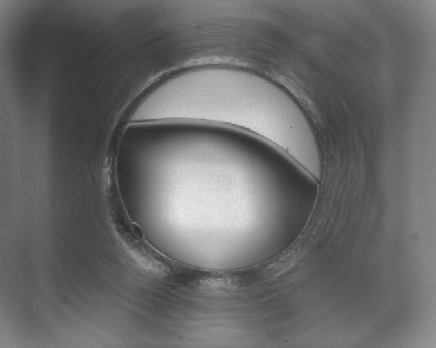 X0000075830160200609150855