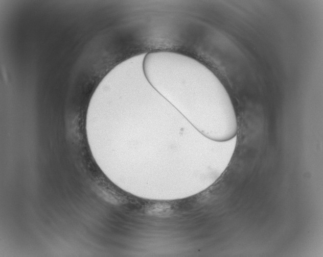 X0000075830162200609150855