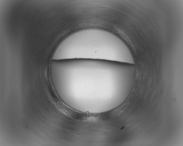 X0000075830163200609150855