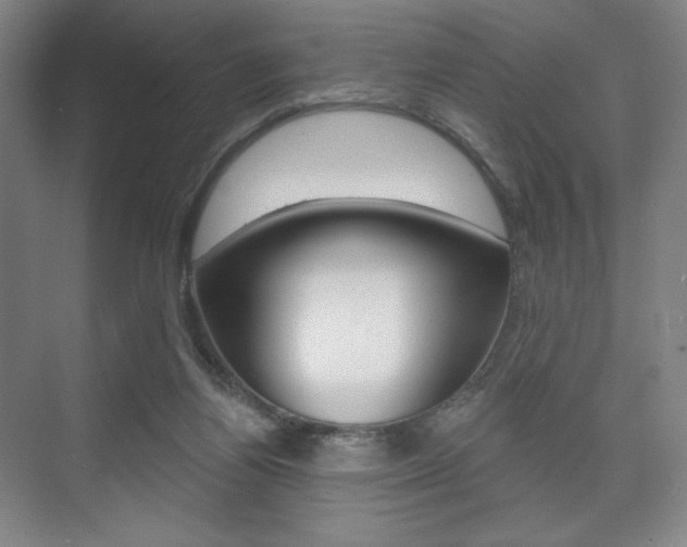 X0000075830164200609150855