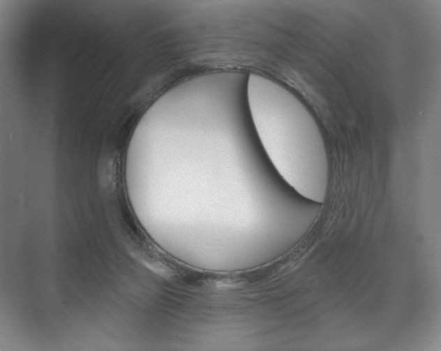 X0000075830165200609150855