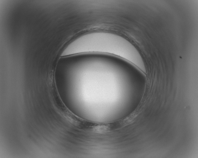 X0000075830168200609150855