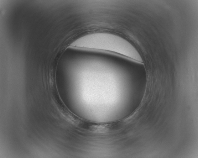 X0000075830170200609150855