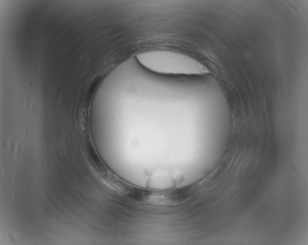 X0000075830171200609150855