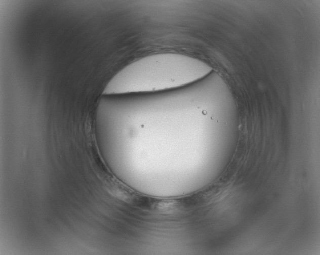 X0000075830173200609150855