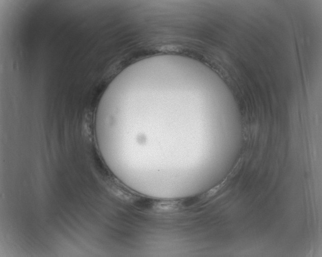 X0000075830175200609150855