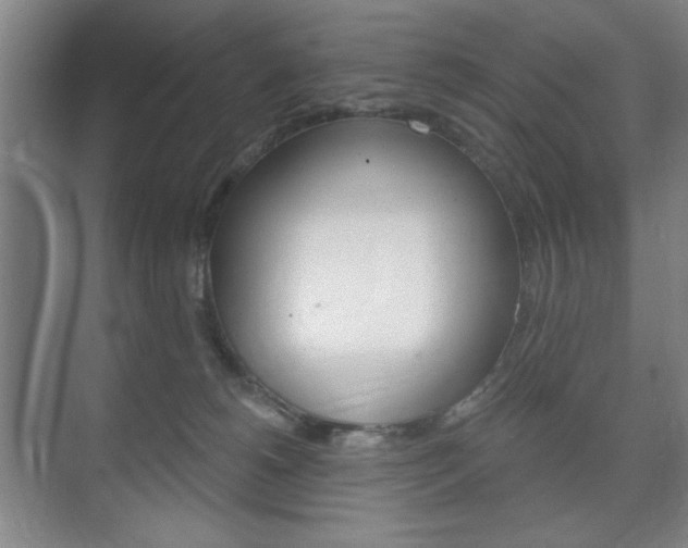 X0000075830180200609150855