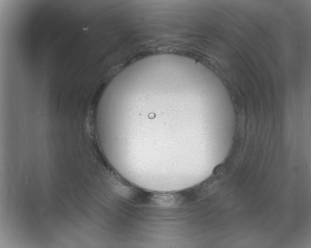 X0000075830181200609150855