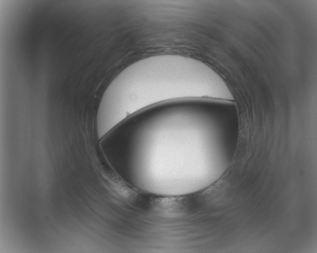 X0000075830184200609150855