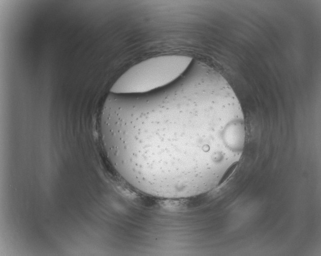 X0000075830187200609150855