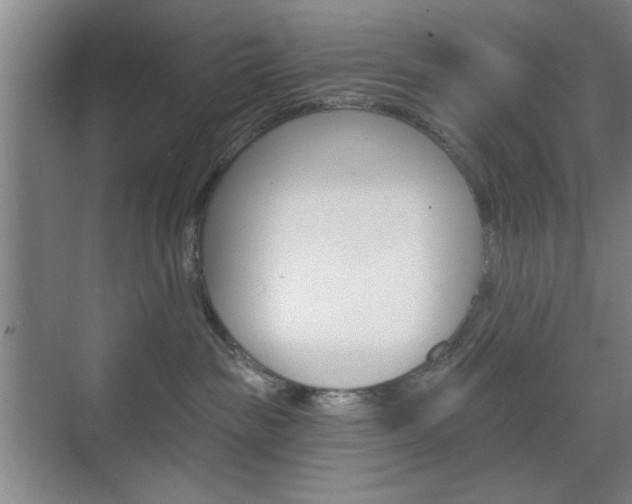 X0000075830189200609150855