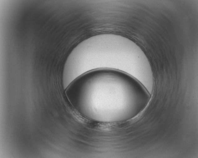 X0000075830190200609150855