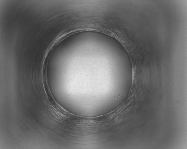 X0000075830195200609150855