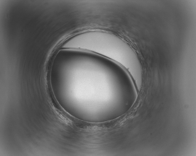 X0000075830197200609150854