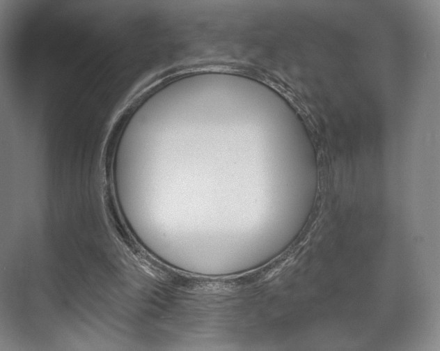 X0000075830198200609150854