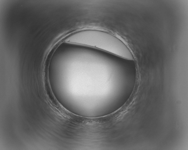 X0000075830199200609150854