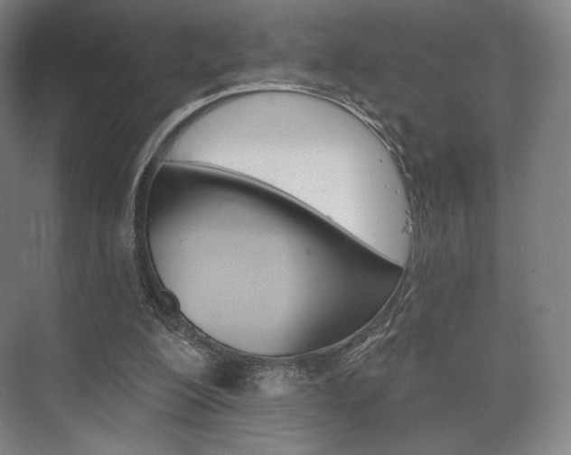 X0000075830200200609150854