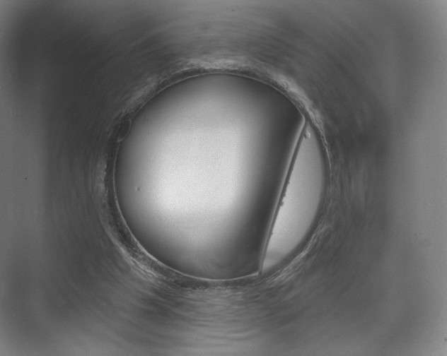 X0000075830201200609150854