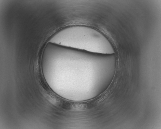 X0000075830202200609150854