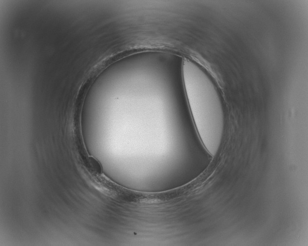 X0000075830203200609150854