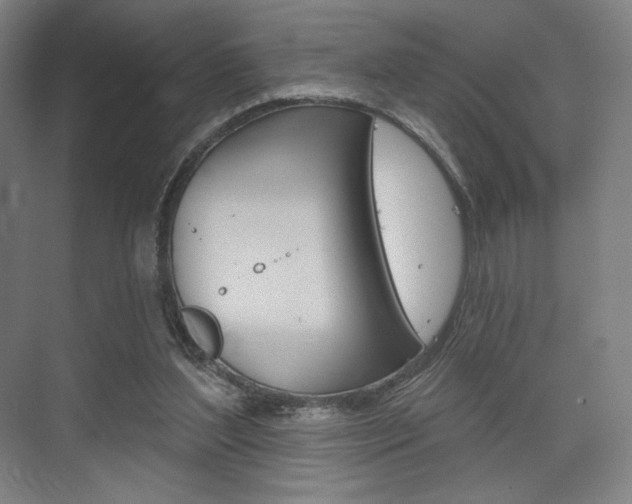 X0000075830204200609150854