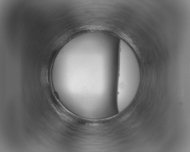 X0000075830205200609150854