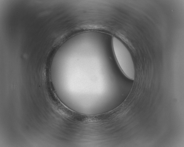 X0000075830207200609150854