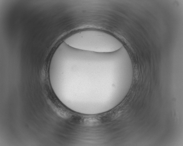 X0000075830208200609150854