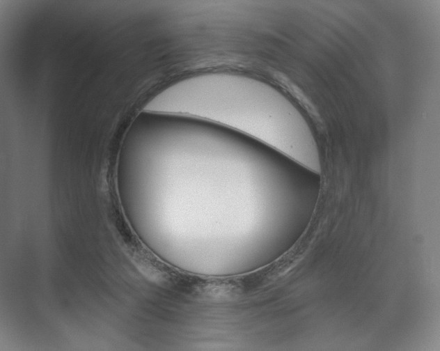 X0000075830209200609150854