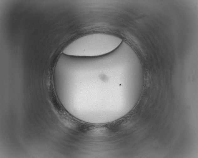 X0000075830210200609150854