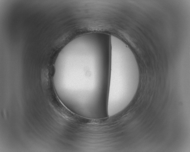 X0000075830211200609150854