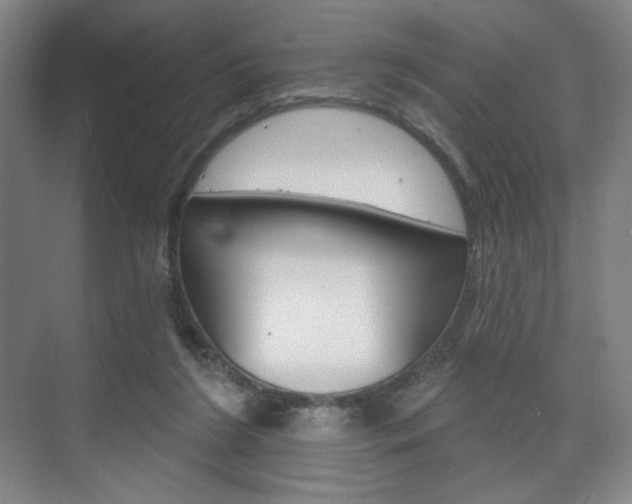 X0000075830212200609150854