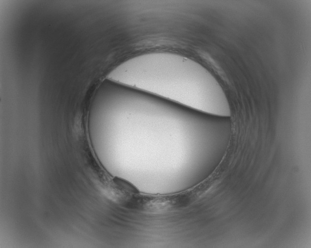 X0000075830213200609150854