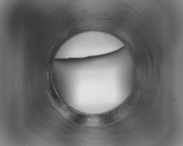 X0000075830214200609150854