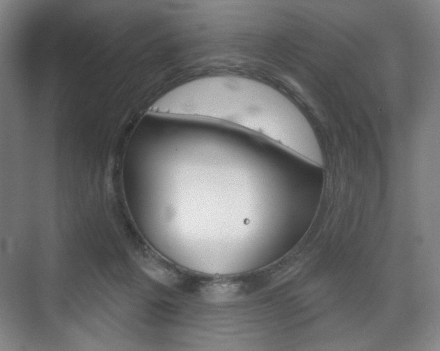 X0000075830217200609150854